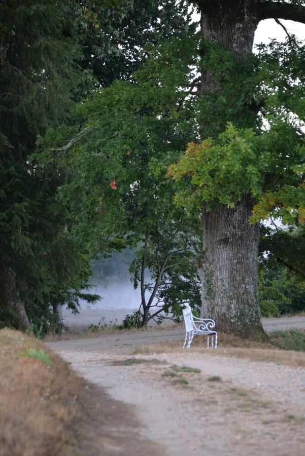 Domaine De Bort Bed & Breakfast Saint-Priest-Taurion Екстериор снимка